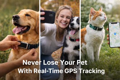 PetPulse GPS - Know Every Step
