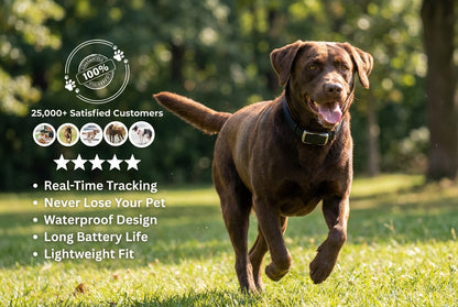 PetPulse GPS - Know Every Step