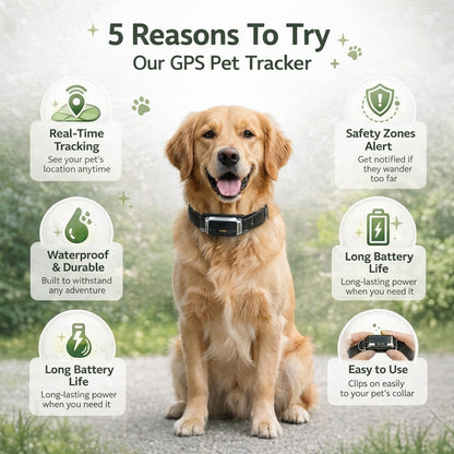 PetPulse GPS - Know Every Step